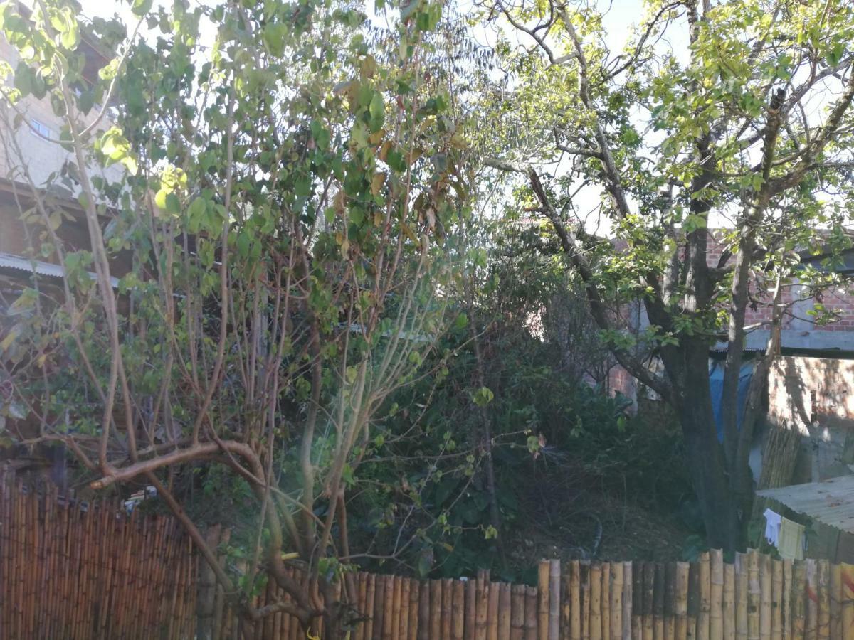 Aventura Chachapoyas Backpackers Vandrehjem Eksteriør billede